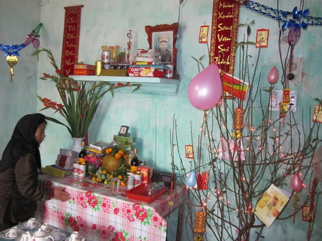 Dự thi ảnh: Xuân về trên đảo quê hương ảnh 2